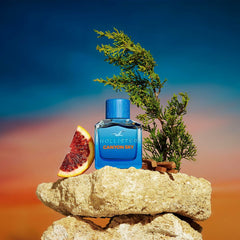 Perfume Hombre Hollister Canyon Sky EDT 100 ml